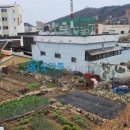 보람부동산중개사무소 이미지