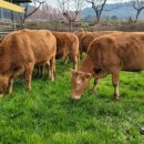 육성농장 이미지