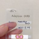 허니드리밍 이미지