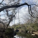 도깨비다방 이미지