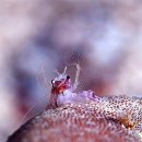 바다생각 이미지