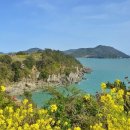 작은쉼터야영장 이미지