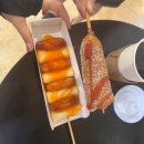 워터파크 | 겨울 스플라스 리솜 덕산온천 워터파크 후기(놀이기구 대기시간)