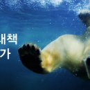 꿩먹고알먹고 이미지