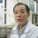 부용자연식품