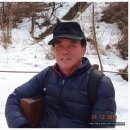 무봉식품 Daum카페