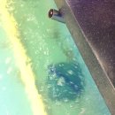 락시클럽 이미지