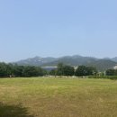 청사로 코오롱로 이미지