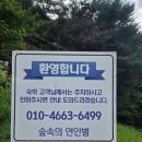 숲속의 별들 | 내돈내산 횡성 숲속의 연인별글램핑장 후기 + 추천자리