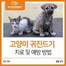 정평동물병원 이미지