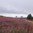 한구목장 이미지