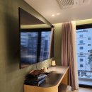 브라운도트 진하해수욕장점 이미지