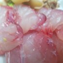 목포홍어회