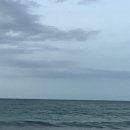 망상비치호텔 | 망상비치호텔 강릉 오션뷰 가성비 짱 1인 숙소 여자 방문 후기