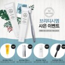 브리티 이미지
