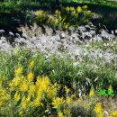 수변공원 갈대습지공원 입구 정자 옆 | 나주여행 나주호에서 가을을 느껴볼 만한 다도 수변공원