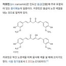 커큐민의 항산화작용. 건강기능식품유의점 : 네이버 블로그 (naver.com)﻿ 이미지