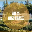 미로월드 이미지