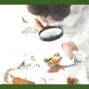 경희사랑방한의원 | 한방 소화불량 치료 비결