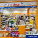 오토오아시스 홈플러스 강서점 | 서울 강서 생활용품 천국! 다이소 홈플러스강서점 방문 후기