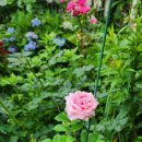 비앙브뉘 이미지