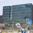 춘천시 치매안심센터 이미지