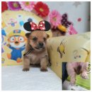 소답동225 이미지