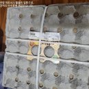 8,990원짜리 특란으로 만나는 무항생제 농협 참한알 - 맛과 가격 모두 만족!