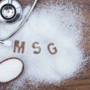 MSG 이미지