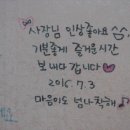 독도게스트하우스 이미지