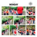 리틀비전어린이집 이미지