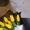 라파플라워