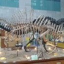 서대문자연사박물관 이미지