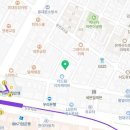 더드림청과야채