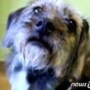 살랑살랑 이미지