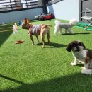 낙원유치원 이미지