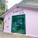 연세라미끄 이미지