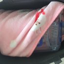 조앤박동물병원 이미지