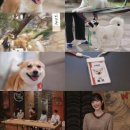 강림농장 이미지