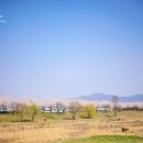 안성 조령천 이미지