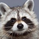 후아유 강릉게스트하우스 이미지