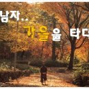 시그닛코리아안양