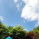 아이별 아이스타 태권도 | 한국의 알프스?" 서울 근교 자타공인 끝판왕, 포천 유식물원 캠핑장 완벽 가이드 (역사부터 주차 꿀팁...
