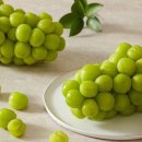 서진농장2 이미지