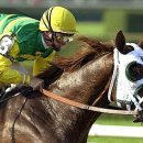 전우인터네셔널 이미지