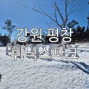 눈으로보는세상 | 아이와 함께 겨울 눈세상 여행, 평창 휘닉스 파크 곤돌라 체험 후기
