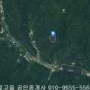나주시 다도면 덕림리 임야6744제곱,매1800만원,전남토지매매,나주토지매매, 이미지