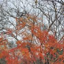 좋은친구들 이미지