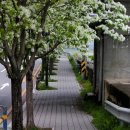 퇴계원8리 마을회관 이미지