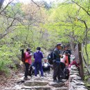 제100차마나슬루 전남보성 오봉산 칼바위.324m^^(二) 이미지